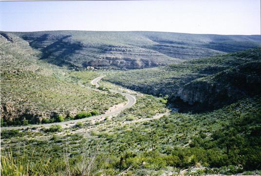 [The nice, twisty road to the Caverns.]